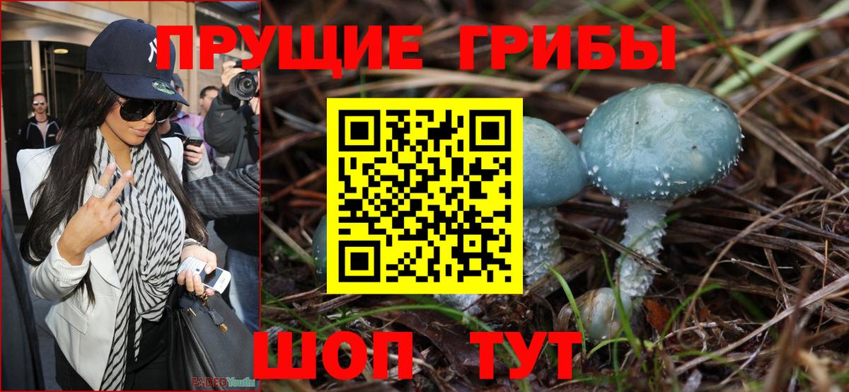 Кропоткин  Галлюциногенные грибы ЛСД  Вход с VPN  Галлюциногенные грибы Psilocybine cubensis 