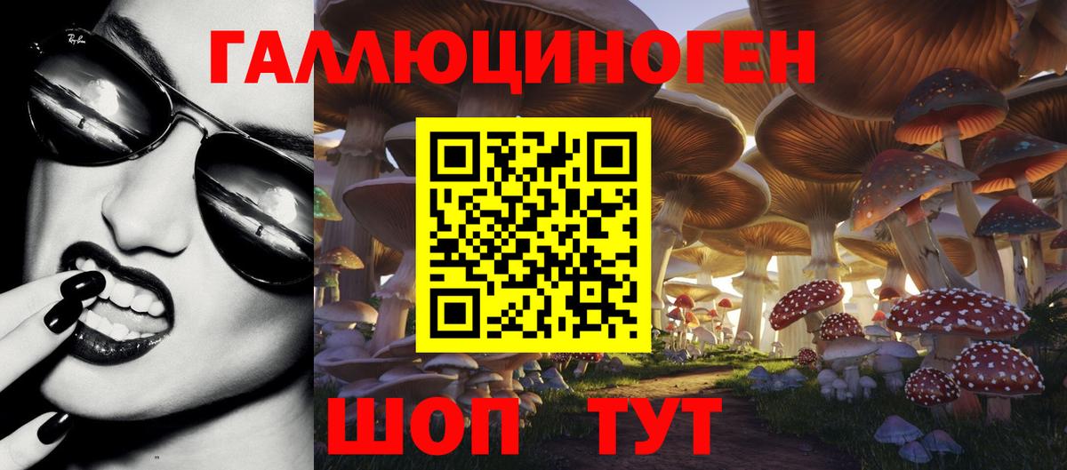 Галлюциногенные грибы Psilocybine cubensis Кропоткин